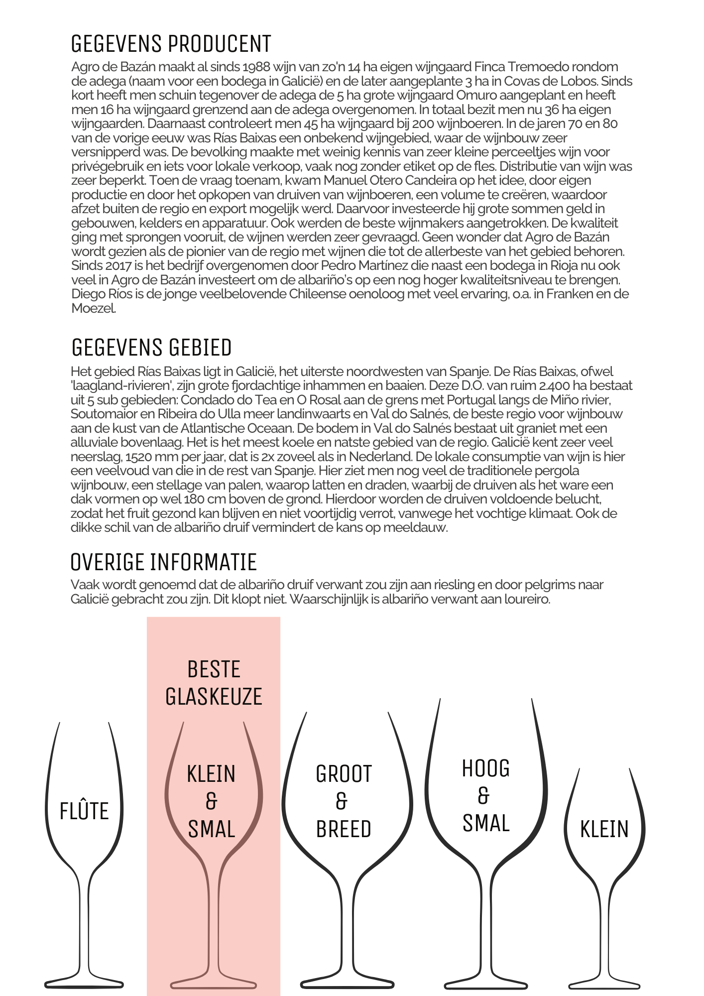 Albariño Granbazán 'Etiqueta Verde' - Afbeelding 3
