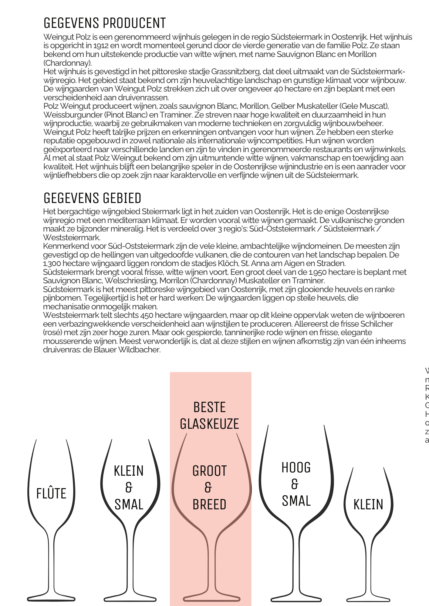 Morillon Weingut Polz - Afbeelding 3