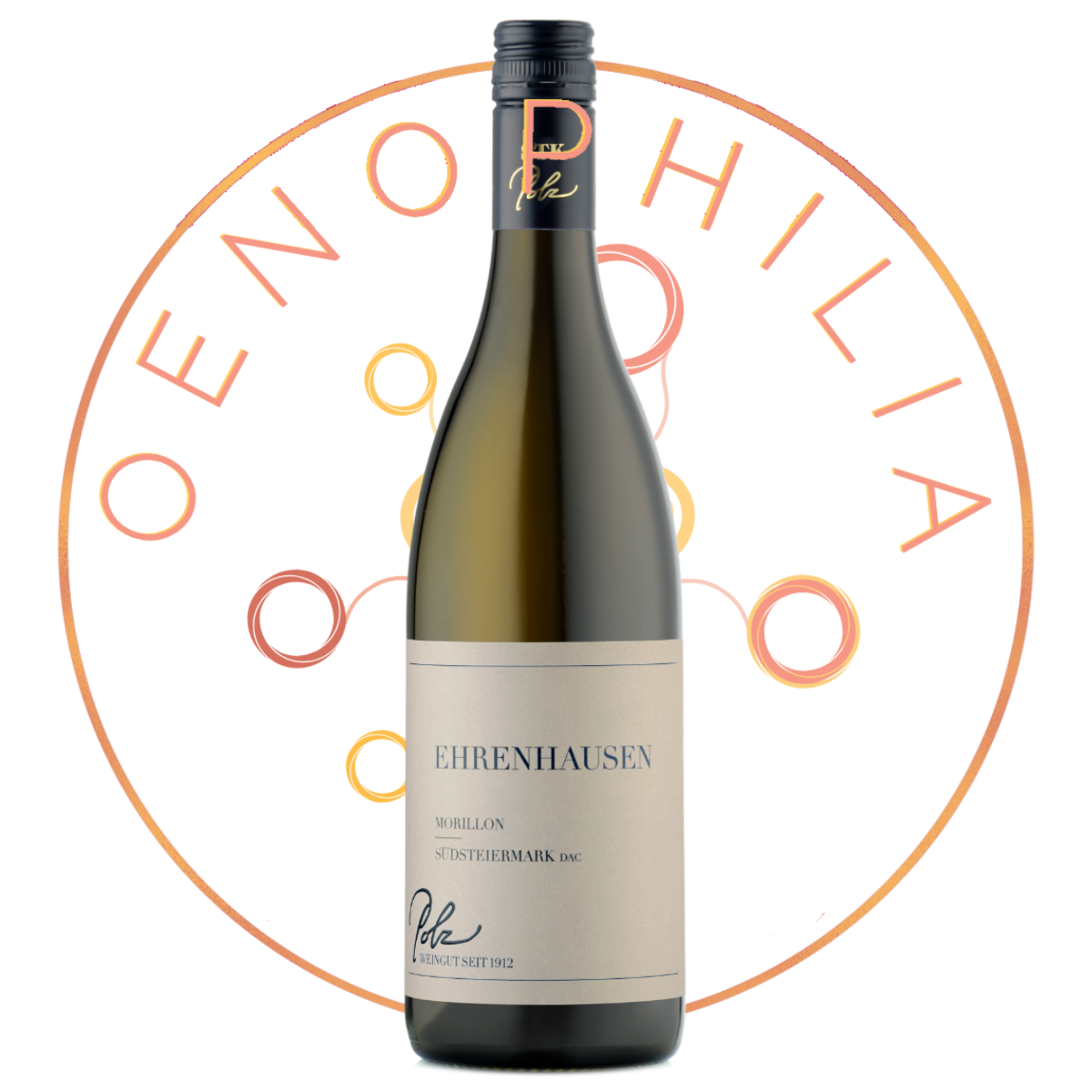 Morillon Weingut Polz Morillon Weingut Polz