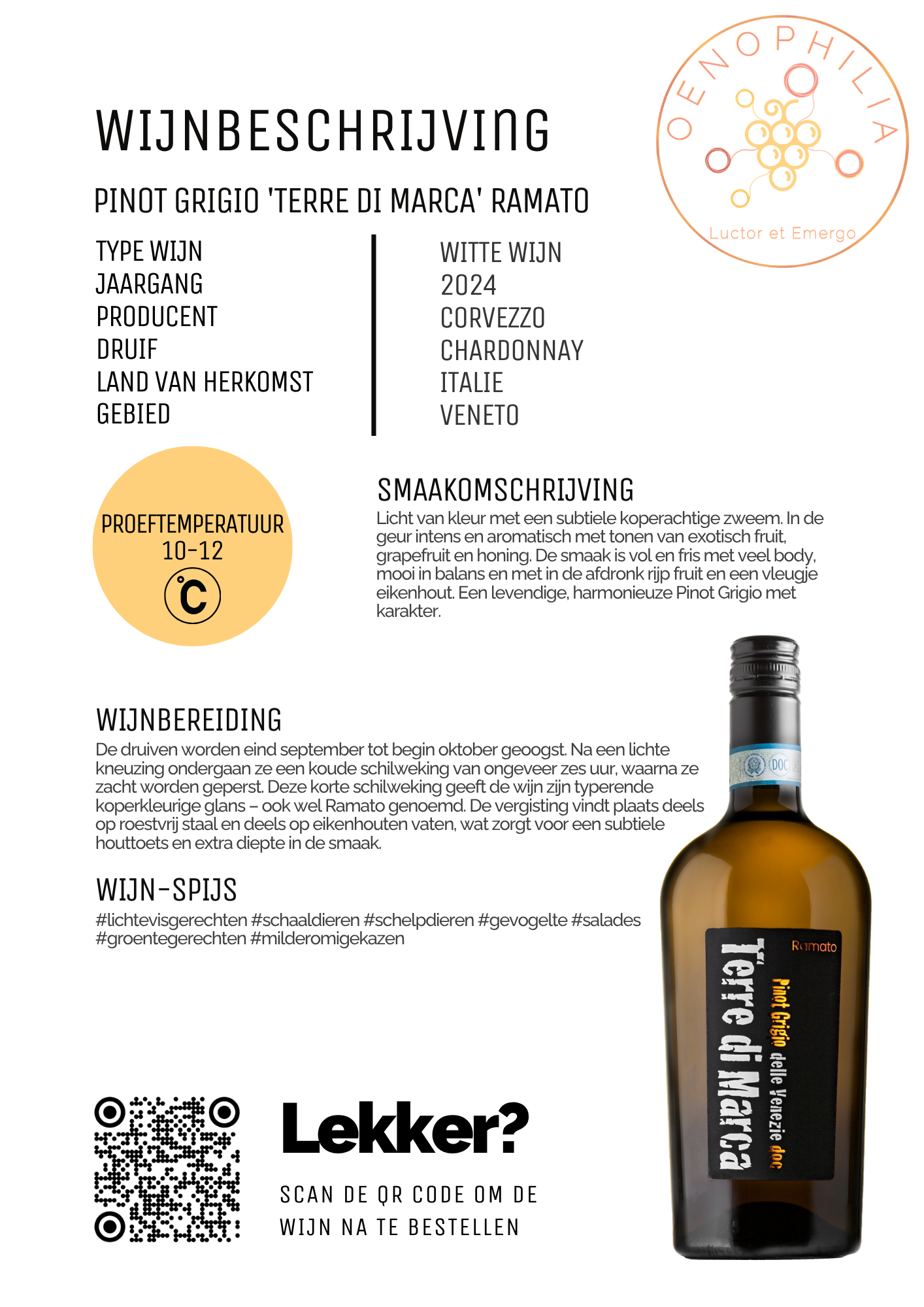 Pinot Grigio delle Venezie 'Terre di Marca' Ramato